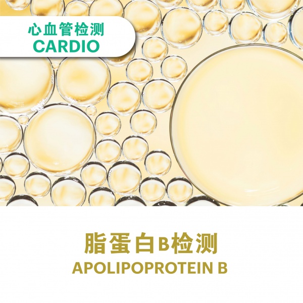 apolipoprotien_b