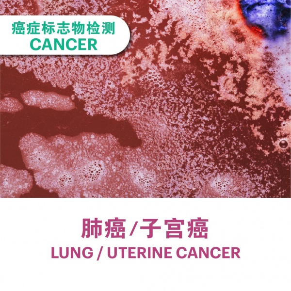 ecommerce_cover_add_on_v311_7_2025-21