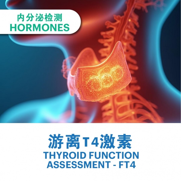 ecommerce_cover_add_on_v311_7_2025-33