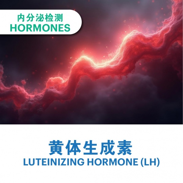 ecommerce_cover_add_on_v311_7_2025-38_1346830119